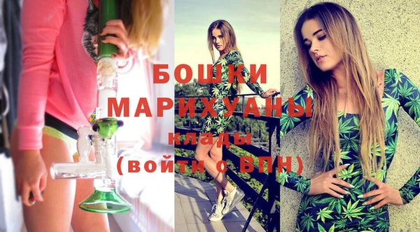 МДПВ Богородицк